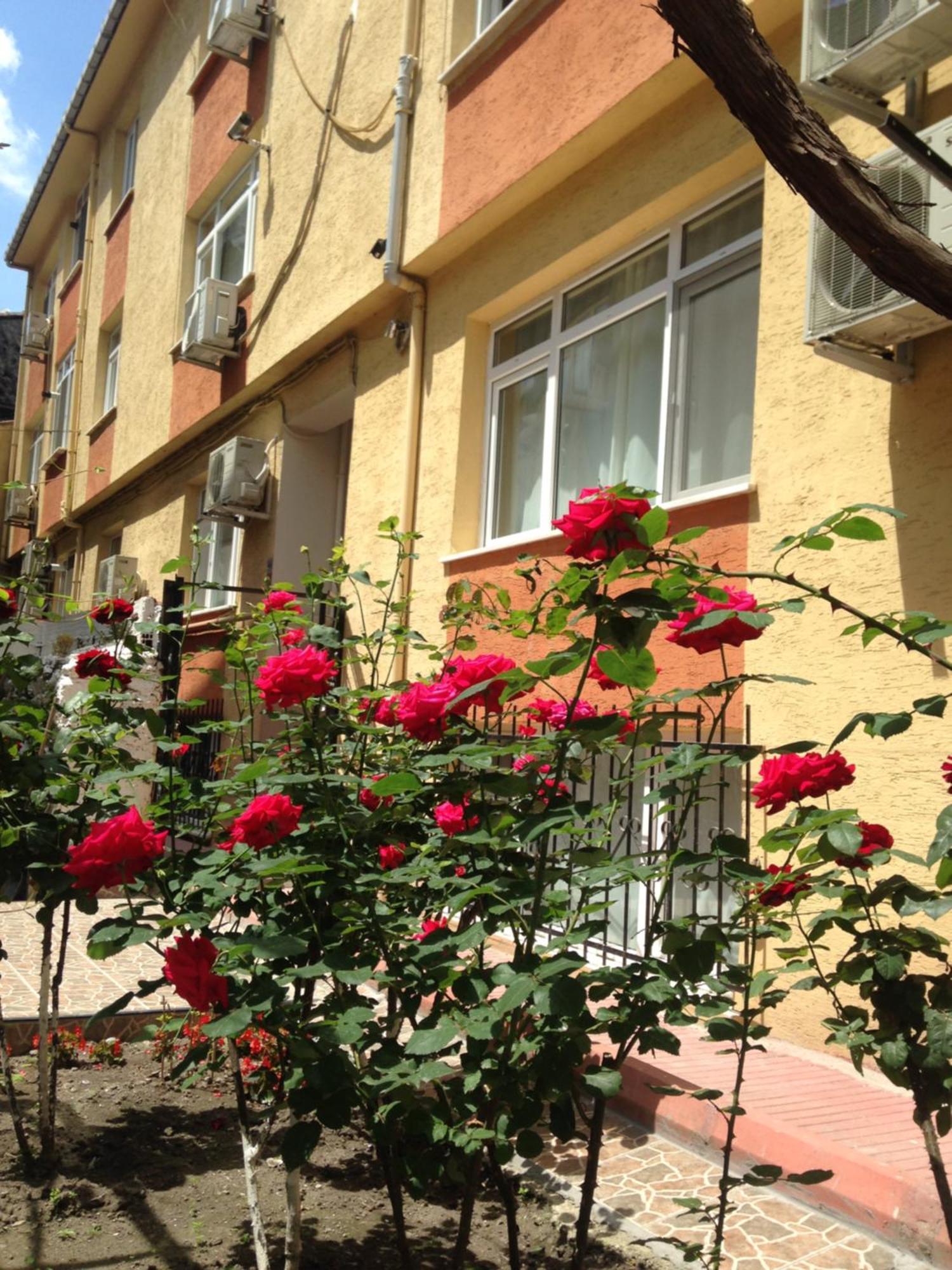 Sultanahmet Deluxe Yilmaz Apart Istambul Exterior foto